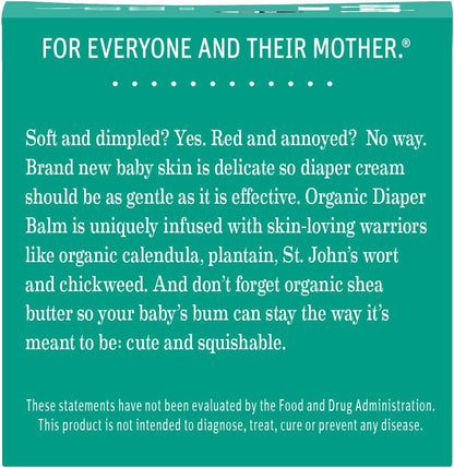 Earth Mama Organic Diaper Balm - 4 fl oz - Diaper Cream for Baby - Safe for Sensitive Skin - Baby Essentials