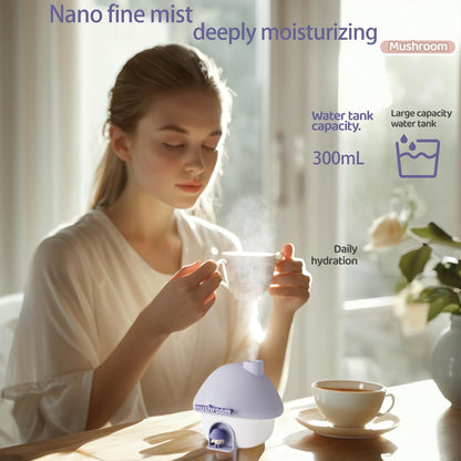Ultrasonic Humidifiers for Bedroom and Office,Cold fog humidifier with sunset light, baby humidifier with night light,Portable Humidifier, two spray modes and ambient ligh