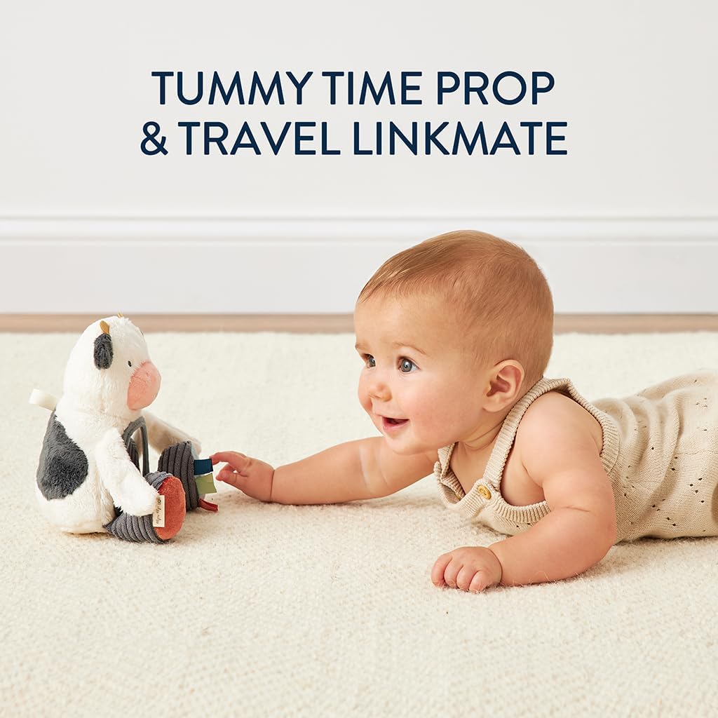 Sensory Tummy Time Mirror Infant Toy - Ages 0 Months & Up (Bear)