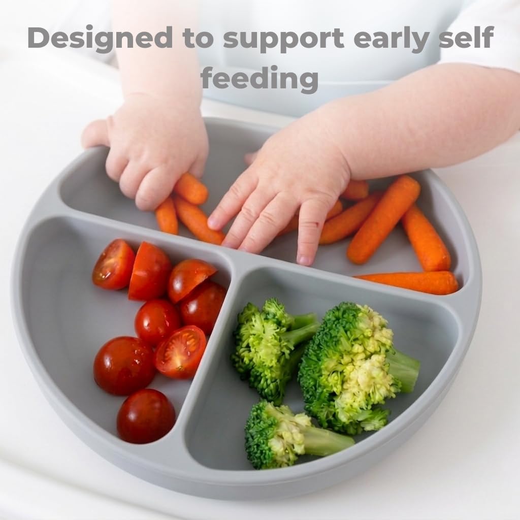 Silicone Baby Feeding Set Bundle – Suction Plate, Suction Bowl, Training & Snack Cup, Food Feeder, 2-Pack Spoons & Carrot Freezer Tray, BPA-Free, Senior Grey