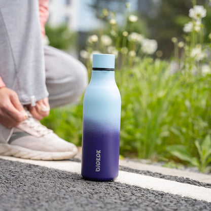 18oz Insulated Water Bottle, Stainless Steel Bottle with Carry Strap | Keep Cold & Hot Vacuum Insulation, Leak-Proof BPA-Free Design, Slim Bottle Fits Most Cup Holders for Gym, Office & Travel - Colors B