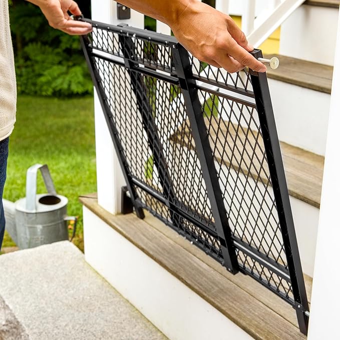Ingenuity Doorway 42W Series Dog and Baby Gate, Indoor Outdoor, Won't Rust or Fade, Plastic Panel, Fits 23-42" Openings, 24” Tall