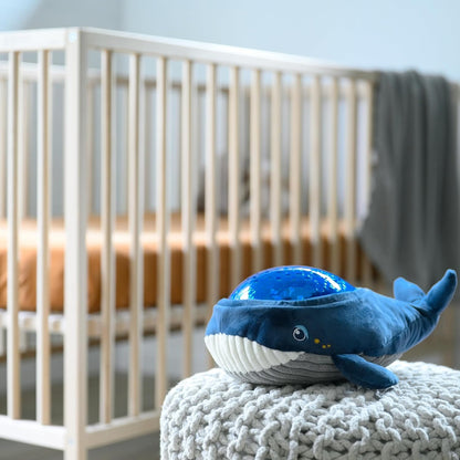 Angelcare Bobbi The Whale Ceiling Night Light Projector for Babies and Kids, Sleep Soother with Adjustable Volume Lullabies, White Noises, 3 Night Light Intensities