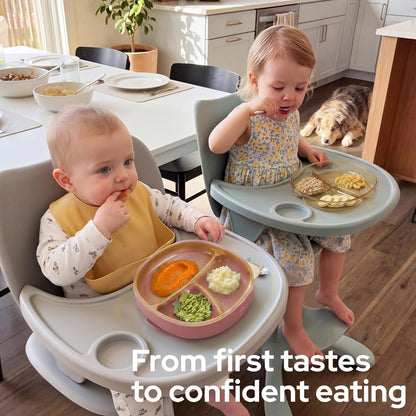 3-in-1 Baby Suction Plates for Toddlers 6-36 Months - Premium Bottle-Grade PPSU Silicone Divided Dishes, Stage-Based Self-Feeding Supplies, BPA Free Stain & Odor Resistant, Microwave Dishwasher Safe