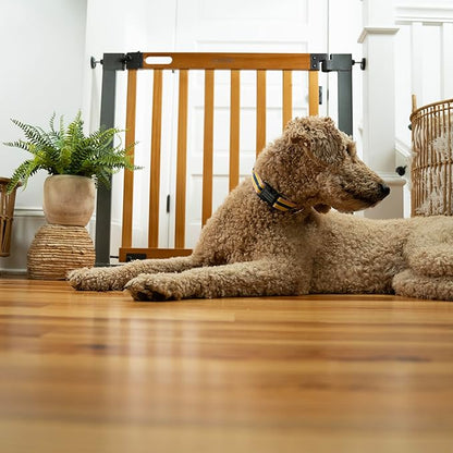 Summer Infant West End Extra Wide Safety Pet and Baby Gate, 36"-60" Wide, 30" Tall, Pressure or Hardware Mounted, Install Wall to Wall in Doorway, Auto Close Walk-Thru Door - Oak Wood and Metal
