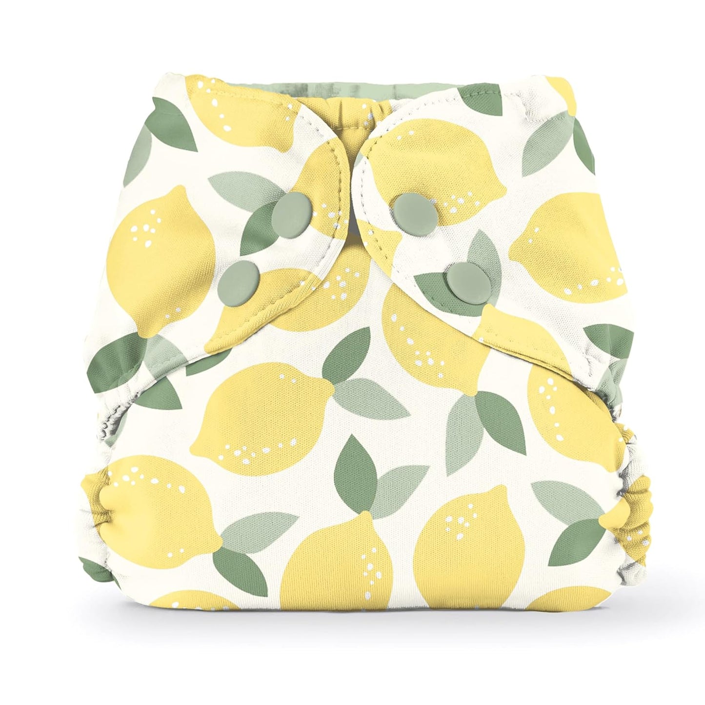 Esembly Cloth Diaper Cover - Reusable Swim Diaper, Waterproof, Breathable - Adjustable Outer Layer Over Absorbent Inner for Blowout Protection - Sea Glass, Size 2 (18-35lbs)