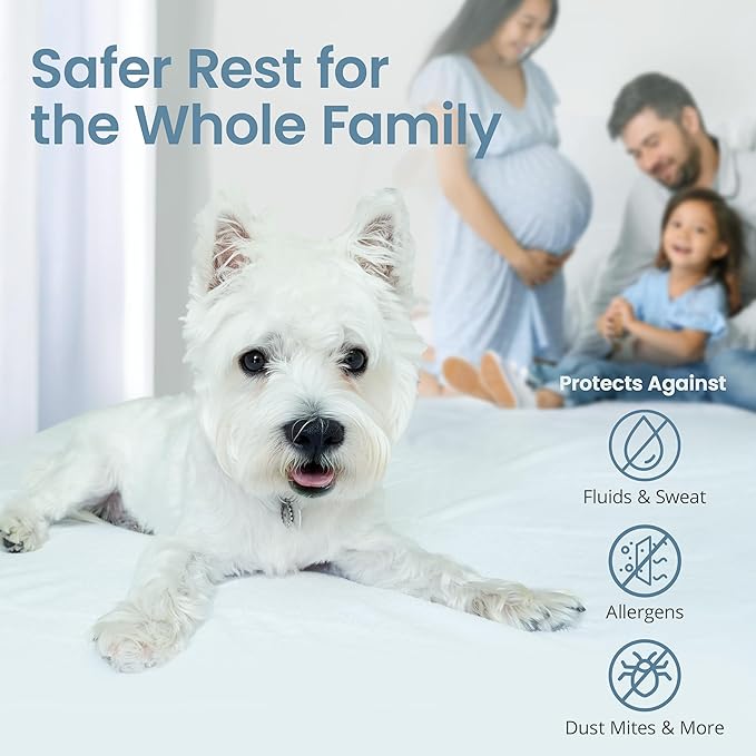 SafeRest Waterproof Queen Size Mattress Protector - Fitted with Stretchable Pockets - Machine Washable Cotton Blend Mattress Cover for Bed