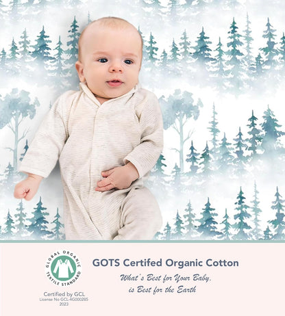 100% Organic Cotton 2 Pk Bedside Sleeper Bassinet Fitted Mattress Sheets Perfectly Compatible with Mika Micky, Baby Delight, Ronbei, Chicco, Cloud Baby, AMKE, Angelbliss, Arm's Reach. Cloud, Stripe