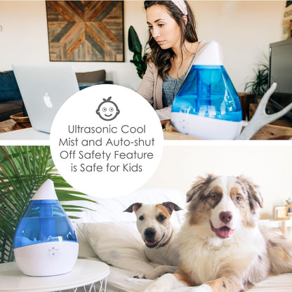 Crane Droplet Ultrasonic Small Air Humidifiers for Bedroom and Office, 0.5 Gallon Cool Mist Humidifier for Plants and Home, Humidifier Filters Optional, White