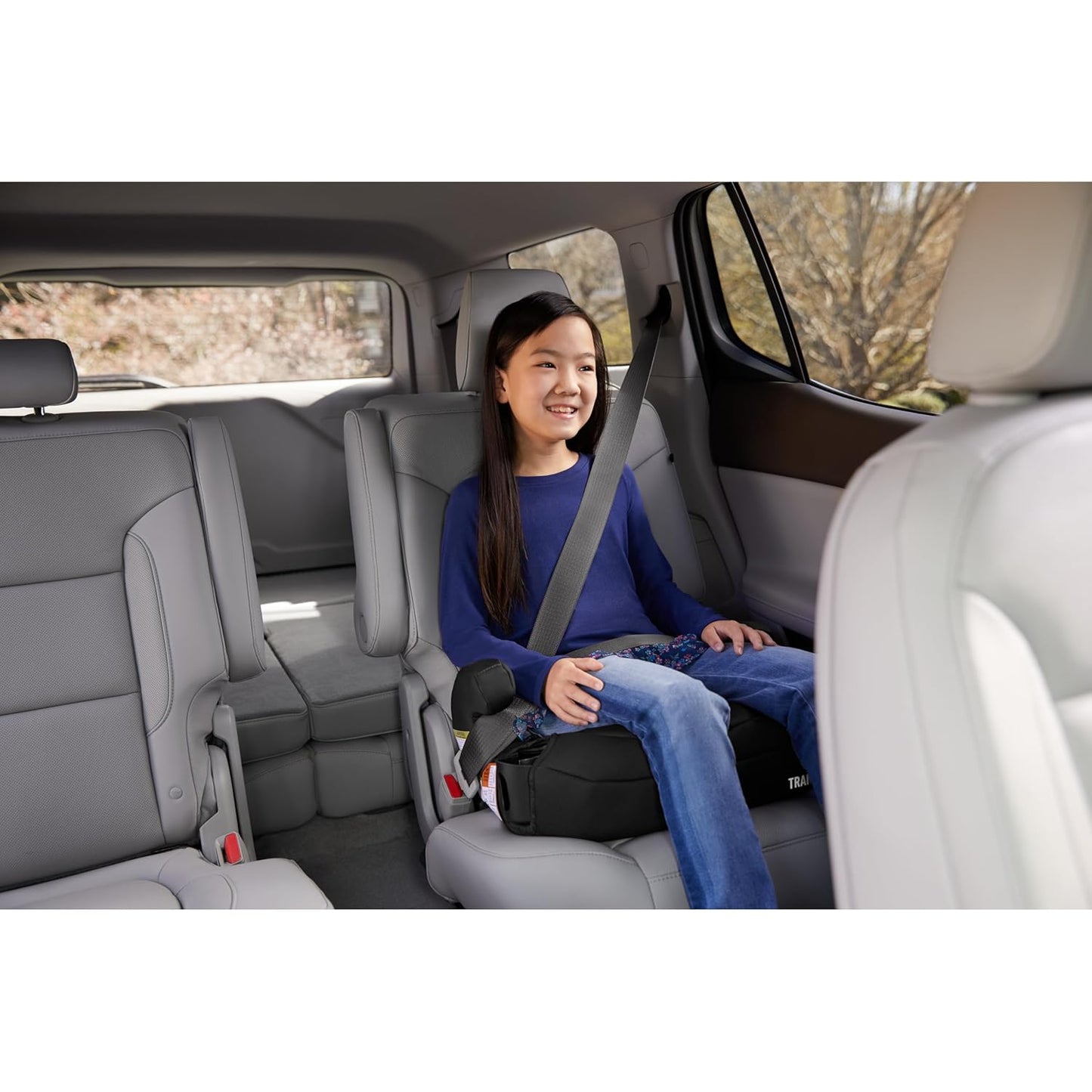 Graco® Tranzitions 3-in-1 Harness Booster Car Seat, Forward Facing Car Seat, Highback, to Backless Booster, Eloise