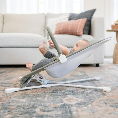 Baby Delight Highland Baby Bouncer | Infant | 0 – 6 Months | 3-Position Recline | Sage Tweed