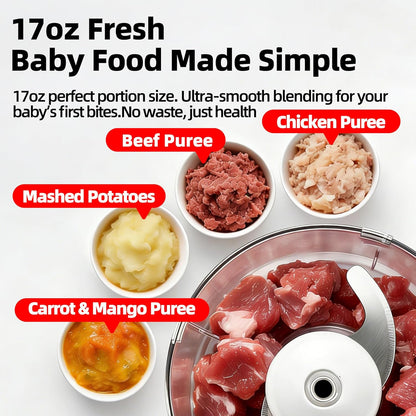 Blenders and Food Processor Combo, 13Pcs 4 in 1 Blender for Shakes and Smoothies,17oz Meat Grinder baby food&10oz Spice Grinder 42oz Family&24oz to-go Cups,Dishwasher Safe,Silver