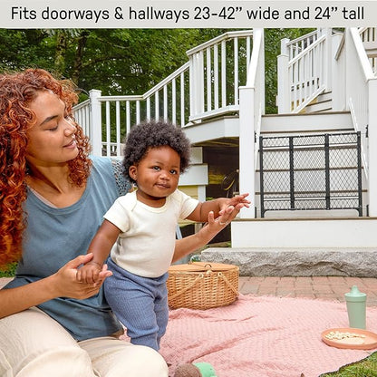 Ingenuity Doorway 42W Series Baby and Dog Gate 2-Pack, Indoor Outdoor, Won't Rust or Warp, Galvanized Steel, Fits 23-42" Openings; 24” Tall