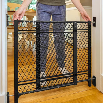 Ingenuity Doorway 42W Series Dog and Baby Gate, Indoor Outdoor, Won't Rust or Fade, Plastic Panel, Fits 23-42" Openings, 24” Tall