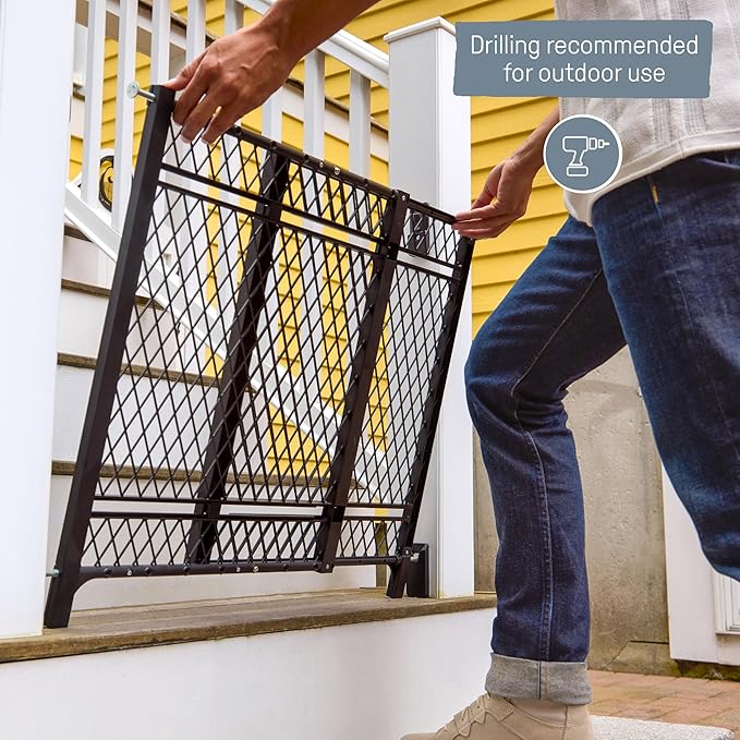 Ingenuity Doorway 42W Series Dog and Baby Gate, Indoor Outdoor, Won't Rust or Fade, Plastic Panel, Fits 23-42" Openings, 24” Tall