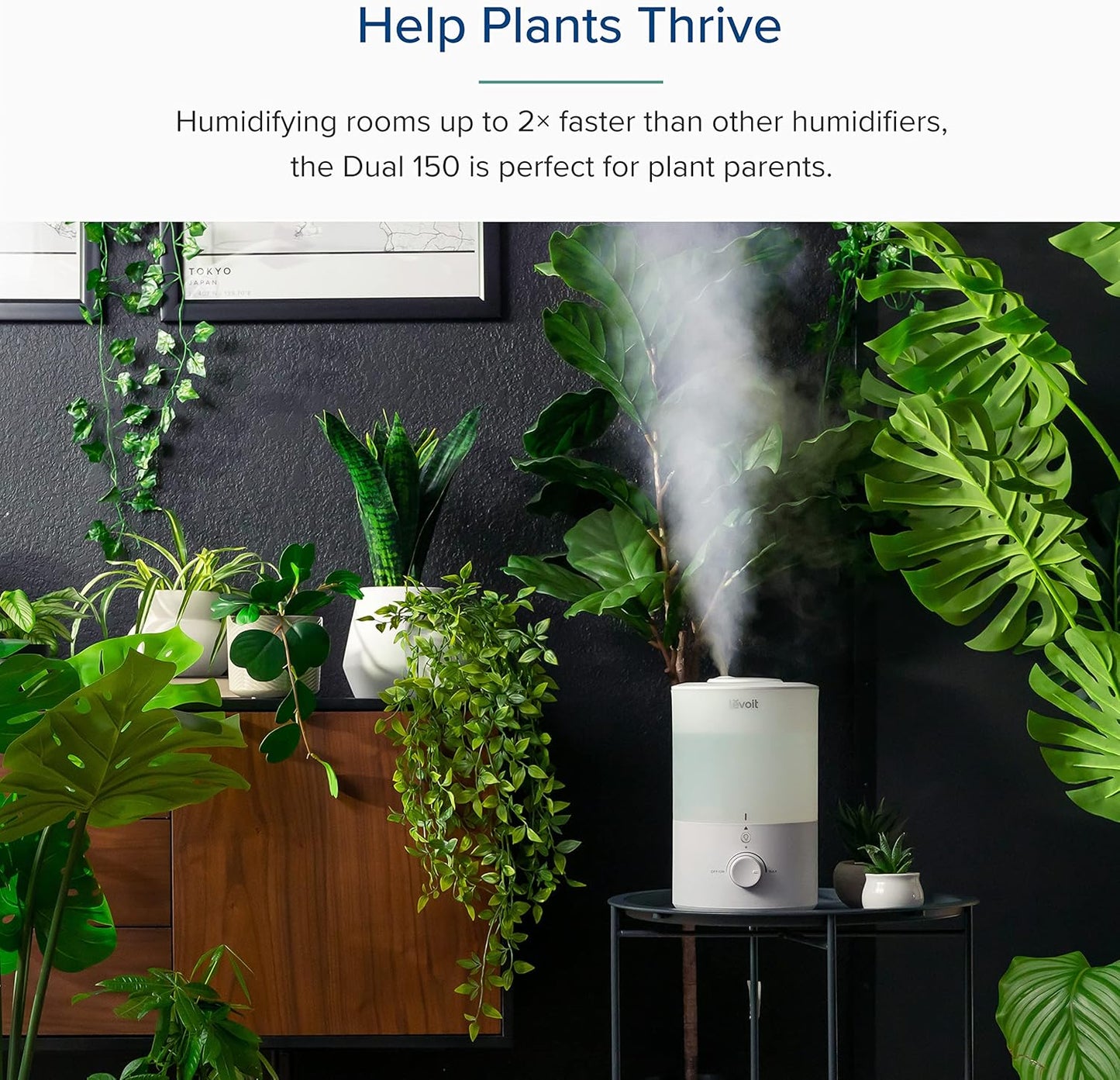 LEVOIT Dual 200S Smart Humidifiers for Bedroom, Top Fill, Customize Humidity for Home, Baby Nursery & Plants with Humidistat, Essential Oil Diffuser, Schedule, Timer, APP & Voice Control, 3L, Blue