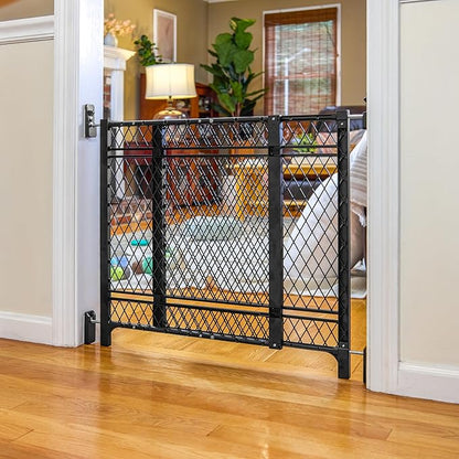 Ingenuity Doorway 42W Series Dog and Baby Gate, Indoor Outdoor, Won't Rust or Fade, Plastic Panel, Fits 23-42" Openings, 24” Tall