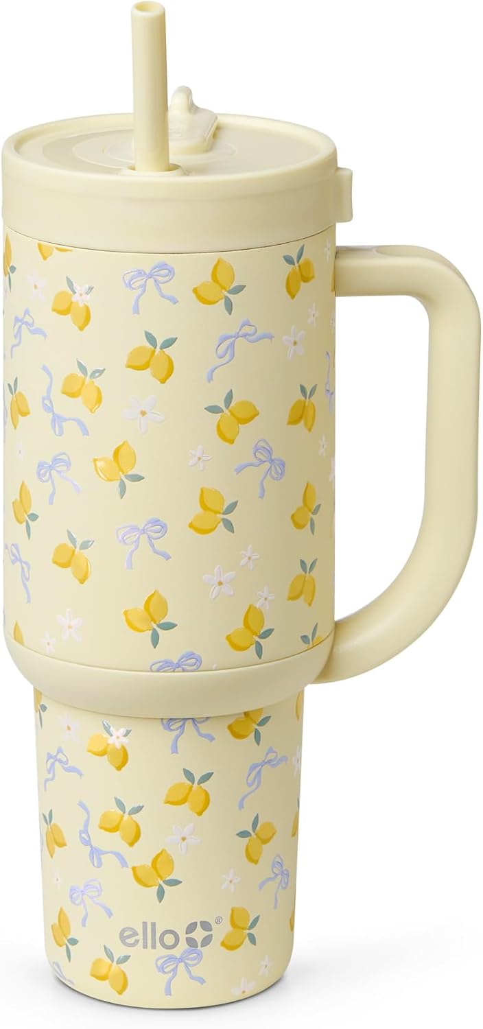 Oasis 30oz Insulated Stainless Steel Tumbler with Straw, Pink Gingham | Insulated stainless steel cup with handle, retracting straw, leakproof lid, keeps cold 24 hours, cupholder fit