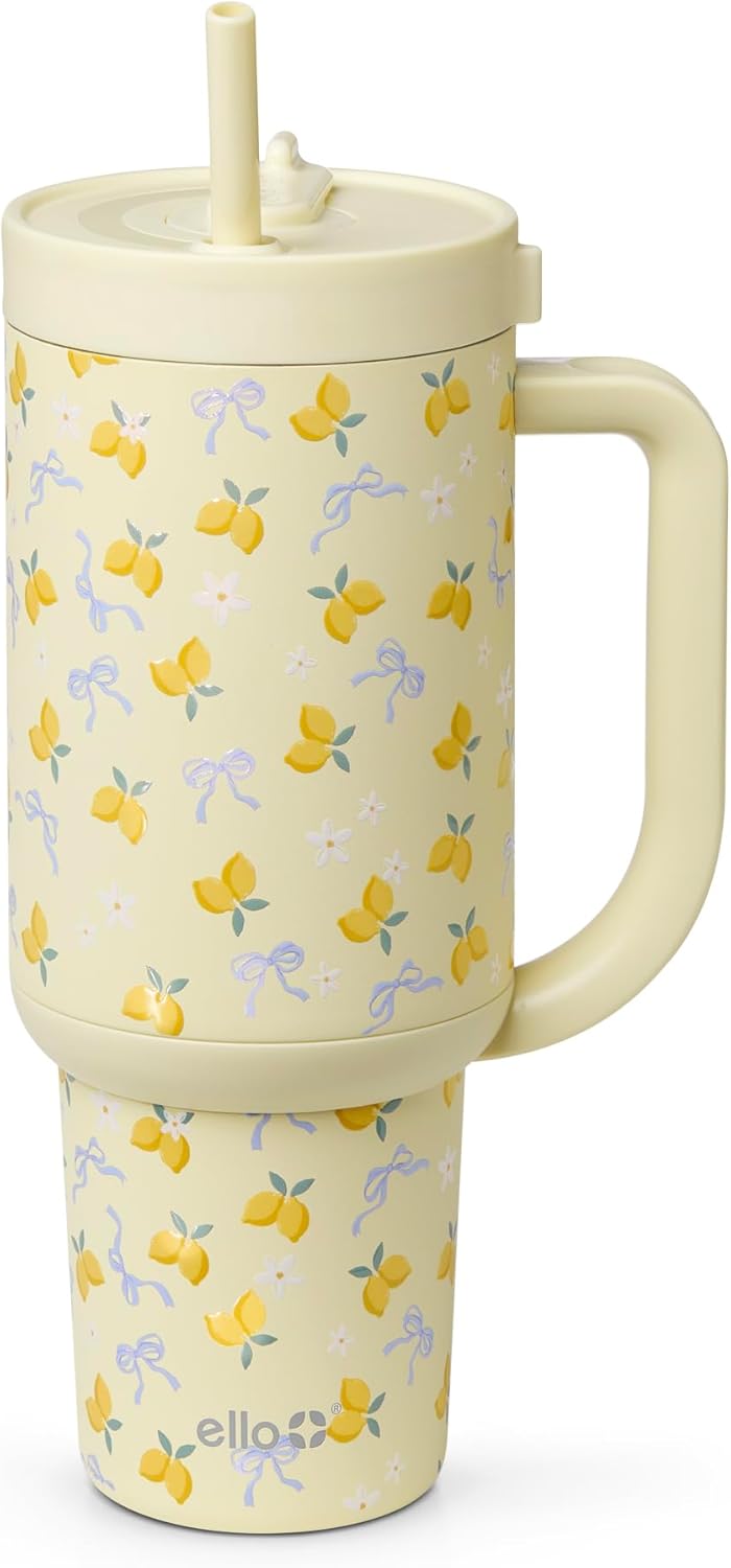 Oasis 30oz Insulated Stainless Steel Tumbler with Straw, Pink Gingham | Insulated stainless steel cup with handle, retracting straw, leakproof lid, keeps cold 24 hours, cupholder fit