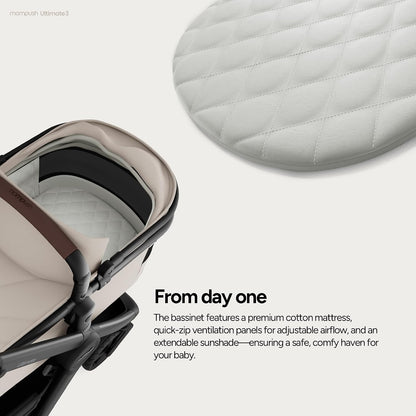 Ultimate 3 Stroller with Bassinet, Rider Board and Car Seat Adapter