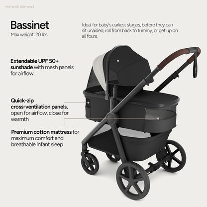 Ultimate 3 Stroller with Bassinet, Rider Board and Car Seat Adapter