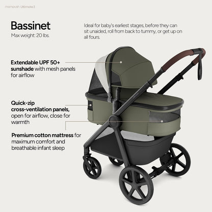 Ultimate 3 Stroller with Bassinet, Rider Board and Car Seat Adapter