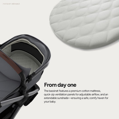 Ultimate 3 Stroller with Bassinet, Rider Board and Car Seat Adapter