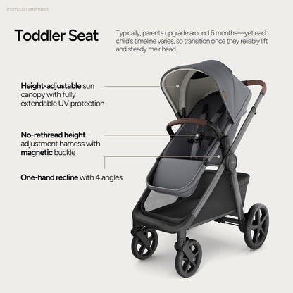 Ultimate 3 Stroller with Bassinet, Rider Board and Car Seat Adapter