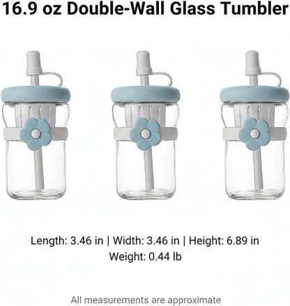 16.9 oz Double-Wall Glass Tumbler with Lid & Straw, Insulated Cup for Hot & Cold Drinks, Fits Cup Holders