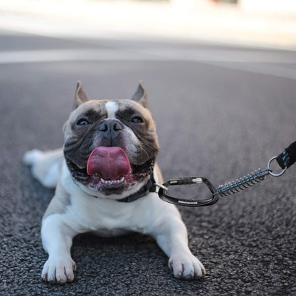 Heavy Duty Carabiner Clips 12KN Aluminum D Ring Keyring Caribeaner Hooks