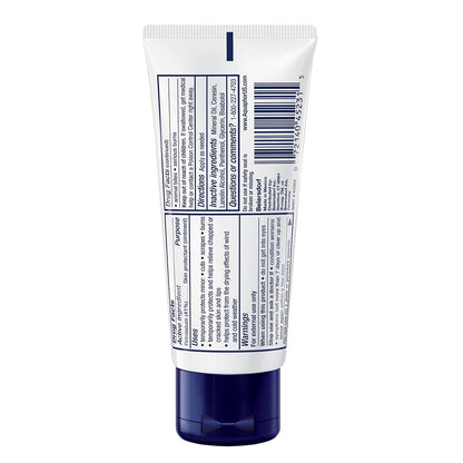 Advanced Therapy Healing Ointment Skin Protectant, 14 OZ