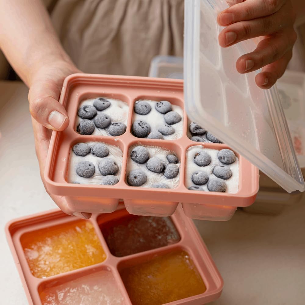 MOMOBIN Silicone Freezer Tray, Made in Korea, Meal Prep, Freeze Food Storage Cubes Trays with Lids for Purees, Soups, Solid Food Fruit Vegitable Brastmilk, Easy and Safe Design