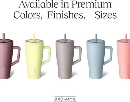 Era 20 oz Tumbler with Handle and Straw | 100% Leakproof Insulated Tumbler with Lid and Straw | Made of Stainless Steel | Cup Holder Friendly Base | 20oz (Dune)