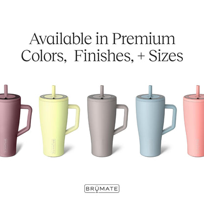 Era 20 oz Tumbler with Handle and Straw | 100% Leakproof Insulated Tumbler with Lid and Straw | Made of Stainless Steel | Cup Holder Friendly Base | 20oz (Dune)
