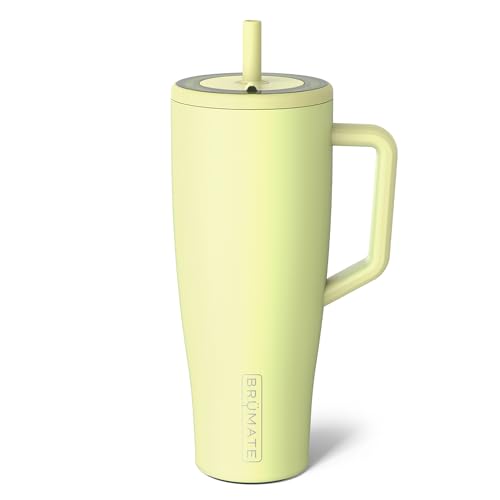 Era 20 oz Tumbler with Handle and Straw | 100% Leakproof Insulated Tumbler with Lid and Straw | Made of Stainless Steel | Cup Holder Friendly Base | 20oz (Dune)