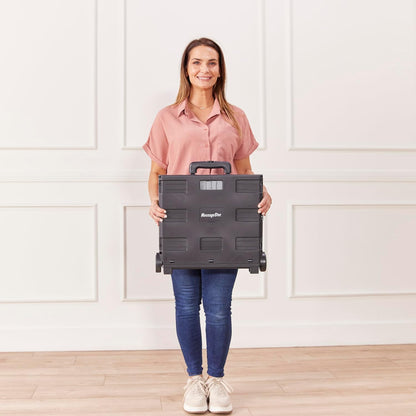 Universal Rolling Cart with Canvas Organizer Bag, Mobile Storage, Red/Grey