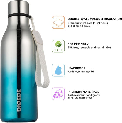 18oz Insulated Water Bottle, Stainless Steel Bottle with Carry Strap - Colors B