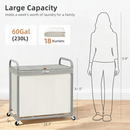 Laundry Hamper 3 Section with Lid Rolling Laundry Basket