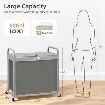 Laundry Hamper 3 Section with Lid Rolling Laundry Basket
