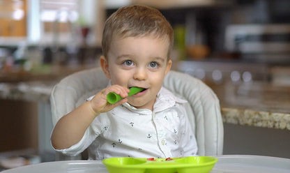 Advanced Feeding Set Fold N Go Silicone Baby Bib w Travel Case (Blueberry)