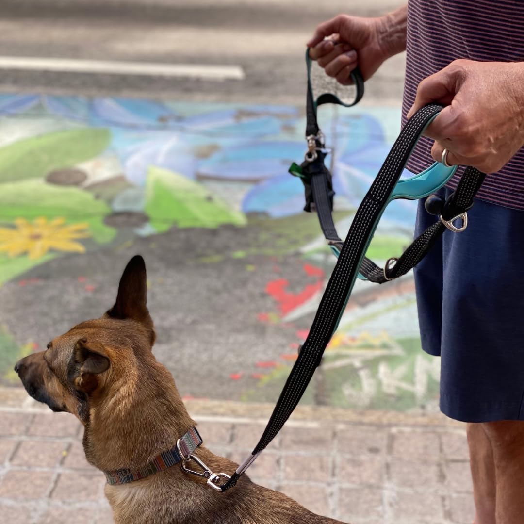 Dog Poop Bag Holder for Leashes and Treat Holder with 2 Waterproof Pouches