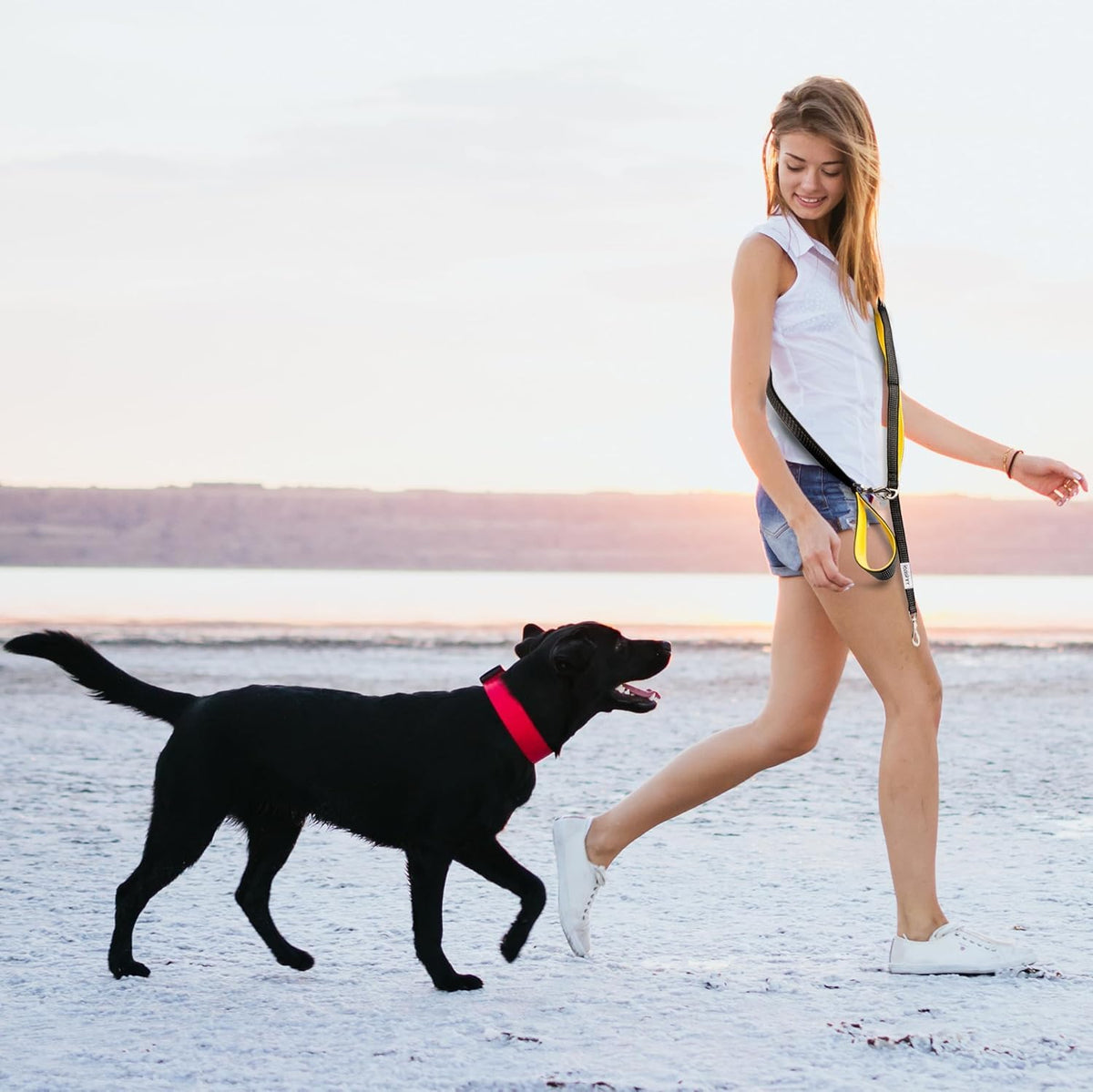 Dog Poop Bag Holder for Leashes and Treat Holder with 2 Waterproof Pouches