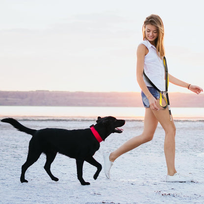 Dog Poop Bag Holder for Leashes and Treat Holder with 2 Waterproof Pouches