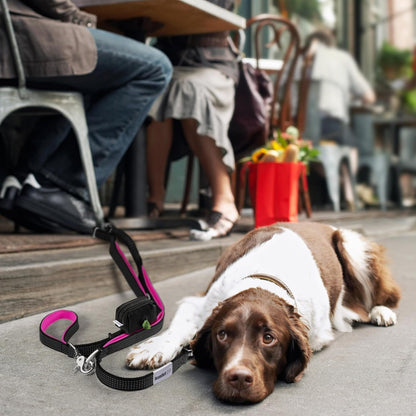 Dog Poop Bag Holder for Leashes and Treat Holder with 2 Waterproof Pouches