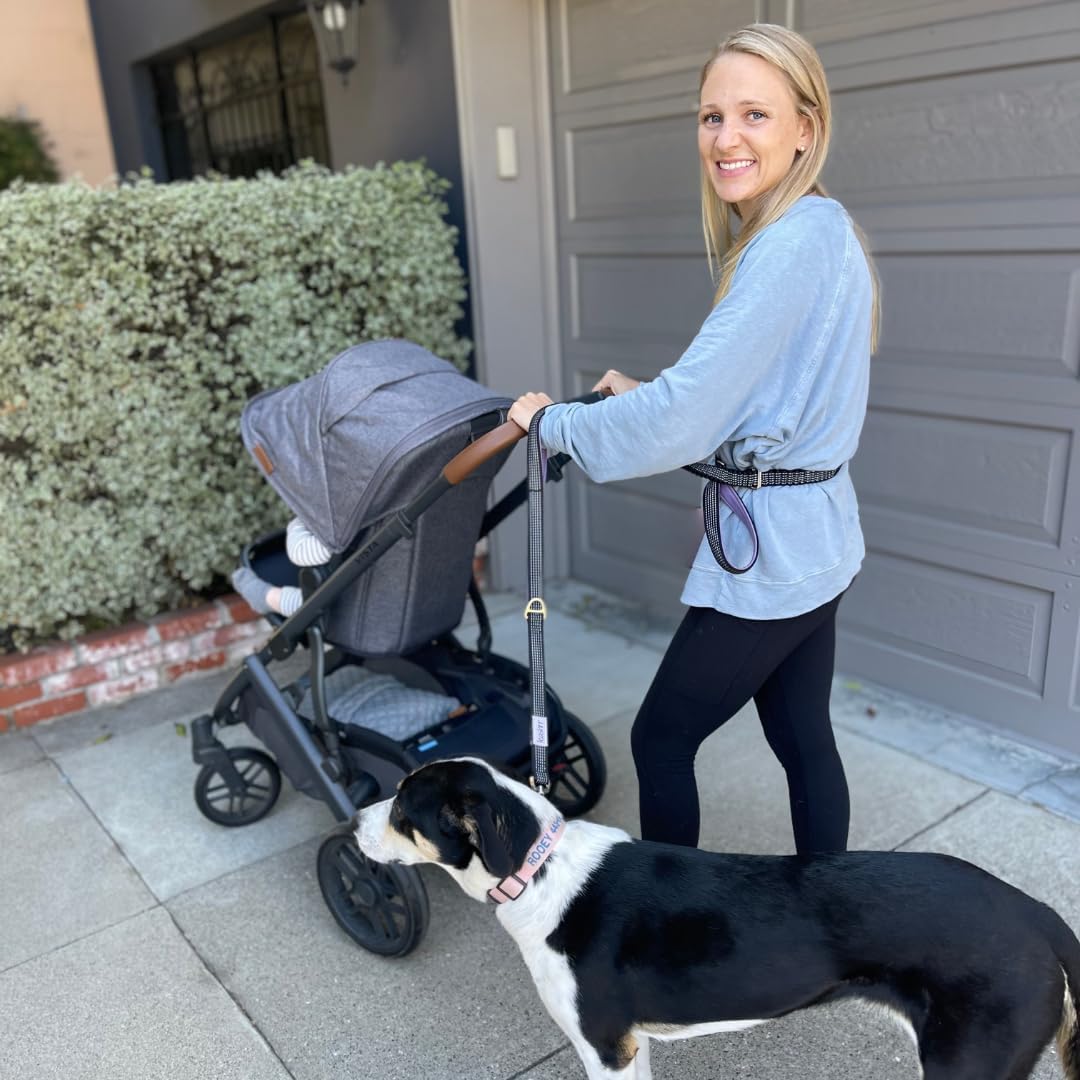 Dog Poop Bag Holder for Leashes and Treat Holder with 2 Waterproof Pouches