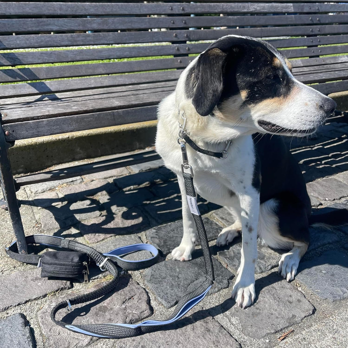 Dog Poop Bag Holder for Leashes and Treat Holder with 2 Waterproof Pouches