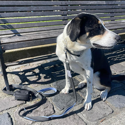 Dog Poop Bag Holder for Leashes and Treat Holder with 2 Waterproof Pouches