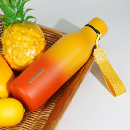 18oz Insulated Water Bottle, Stainless Steel Bottle with Carry Strap | Keep Cold & Hot Vacuum Insulation, Leak-Proof BPA-Free Design, Slim Bottle Fits Most Cup Holders for Gym, Office & Travel - Colors B
