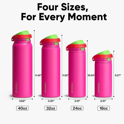 Leakproof Insulated Water Bottle with Straw Dual-Sip Water Bottle Bag-Safe Design for Work, Commute & Gym – Keeps Drinks Cold All Day, 24 oz, Clay Grey - Colors B