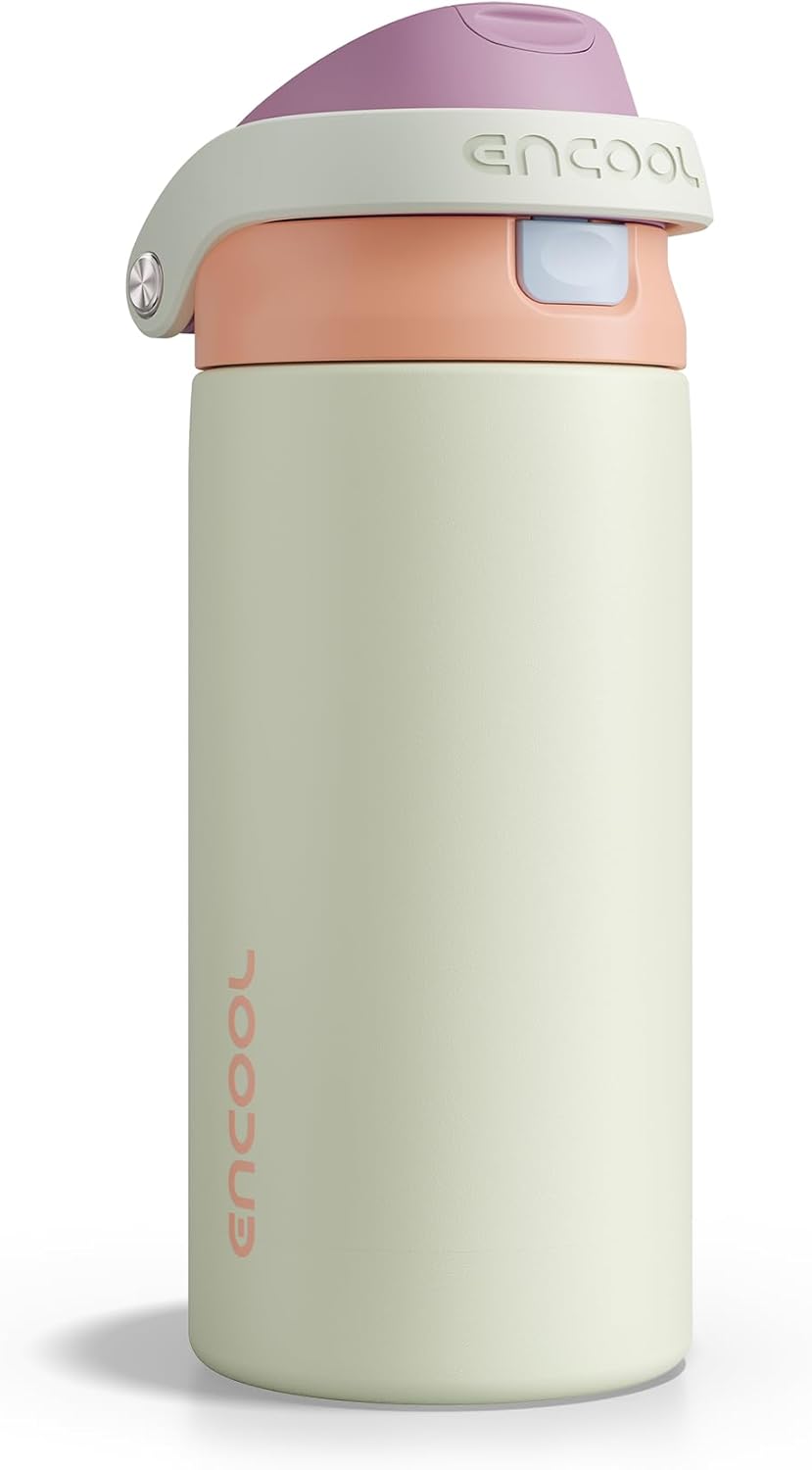 Leakproof Insulated Water Bottle with Straw Dual-Sip Water Bottle Bag-Safe Design for Work, Commute & Gym – Keeps Drinks Cold All Day, 24 oz, Clay Grey - Colors B